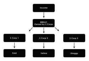 multi-entity structure Multi-Entity Business Structures