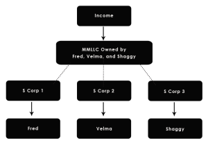 multi-entity structure Multi-Entity Business Structures