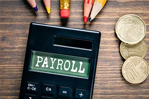 Payroll Plan